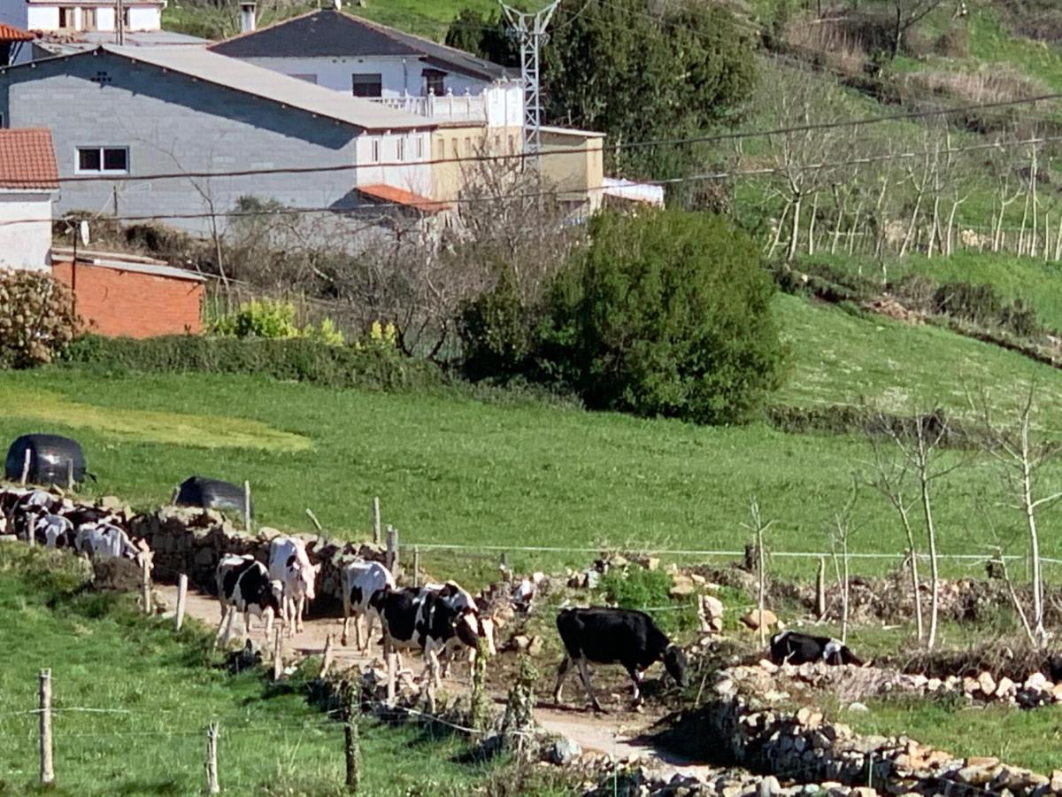 C'Genoveva Complejo Turistico Rural Caleacabo Villa Biescas  ภายนอก รูปภาพ